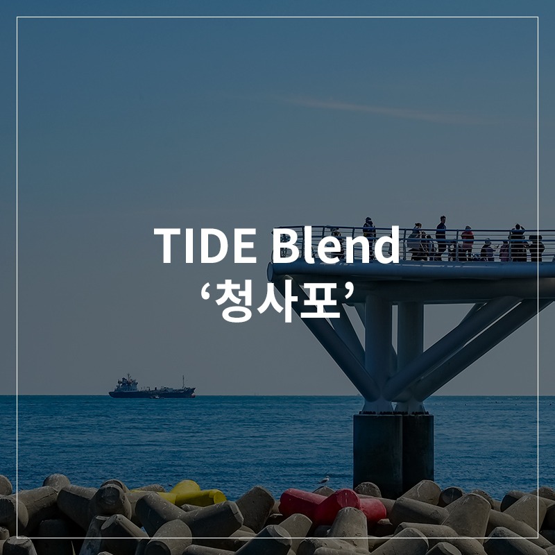 T I D E Blend &#039;청사포&#039;