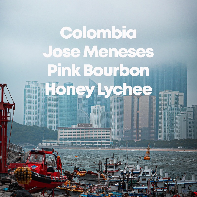 Colombia Jose Meneses Honey Lychee 콜롬비아  호세 메네세스 허니리치