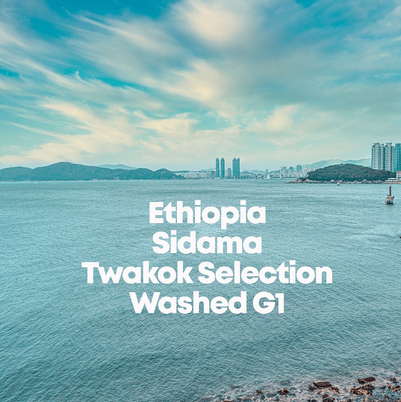 Ethiopia Sidama Twakok Selection Washed G1