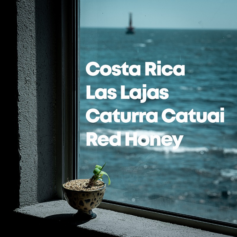 Costa Rica Las Lajas Caturra Catuai Red Honey